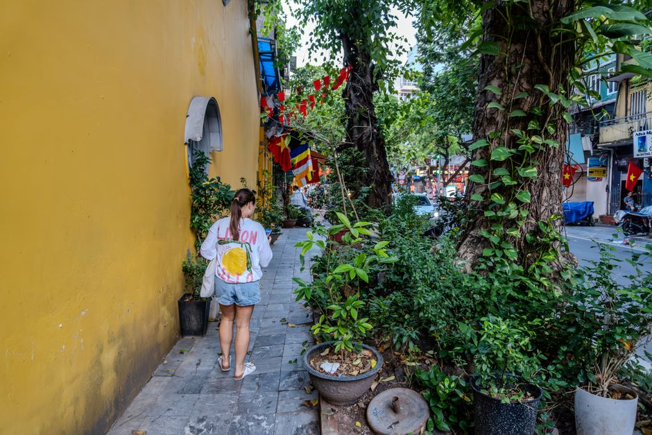 A woman walks down a colorful, tree-lined street in Hanoi, Vietnam, showcasing vibrant urban life.
