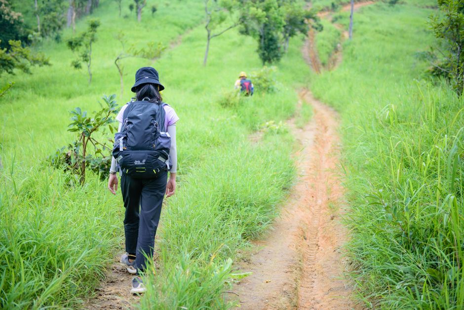 An adventurer walks along a winding forest trail surrounded by vibrant green grass. Ideal for nature and travel themes.