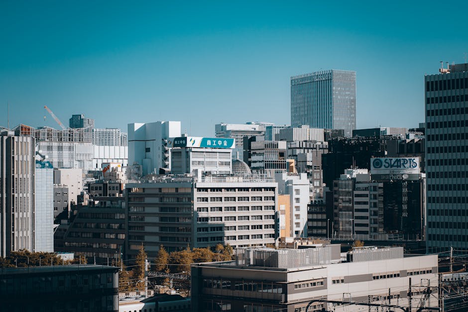 Japan on a Budget: Capsule Hotels, Manga Cafes, and Affordable Ryokans