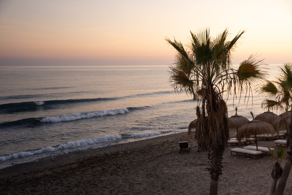 Calm waves and palm trees under a vibrant sunset sky create a tranquil beach scene.