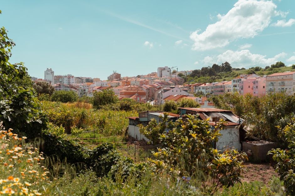 Explore the lush greenery and quaint architecture of Lisbon, Portugal's vibrant cityscape.