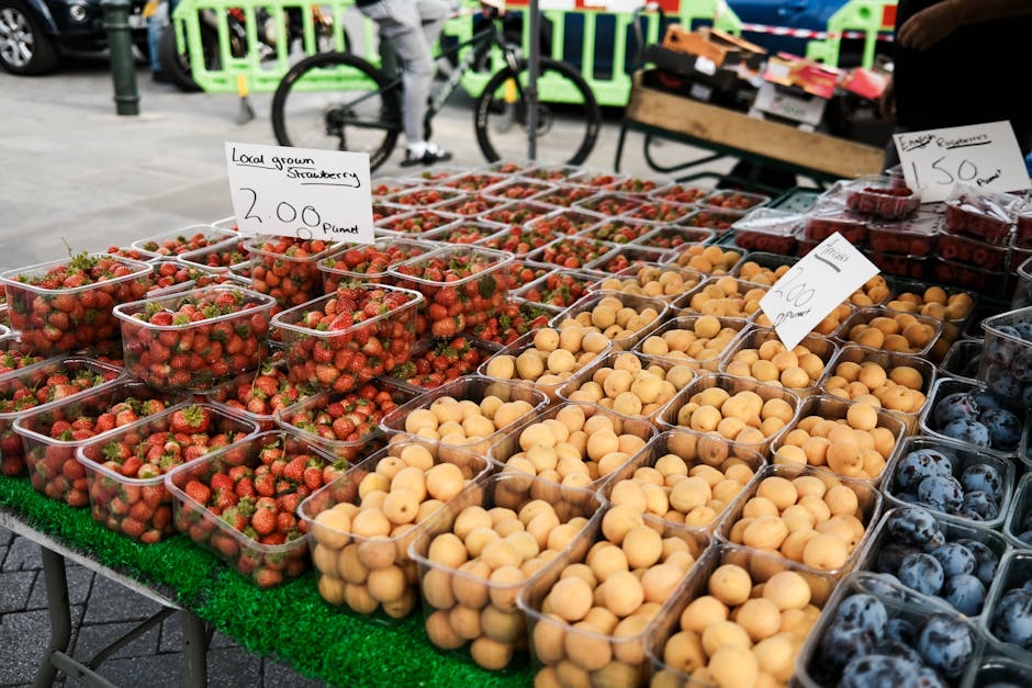 How to Eat Well on  a Day While Traveling Europe