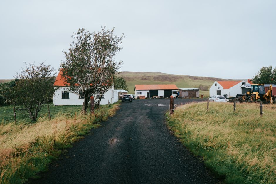 Idyllic Icelandic farm with orange rooftops set in lush countryside, capturing rural tranquility.