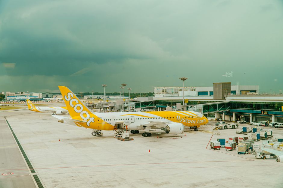 Scoot airlines aircraft parked at a busy airport terminal under a cloudy sky.