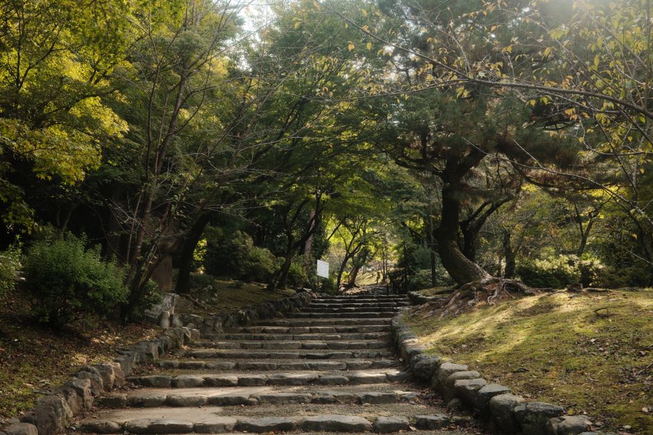 Tranquil stone steps leading through a verdant forest in Kyoto, Japan, capturing nature's calm beauty.