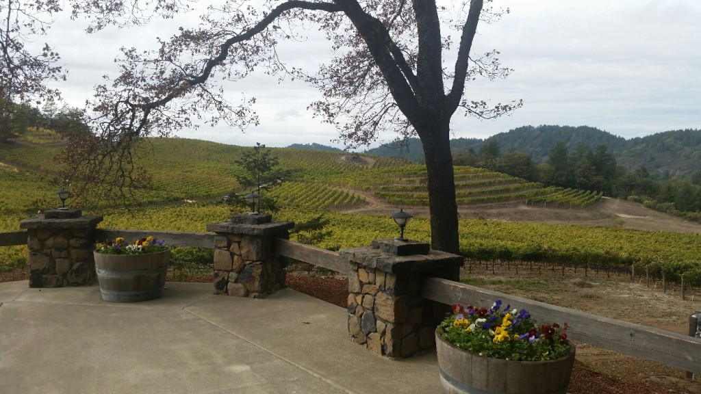 Wine Tasting At Pride Mountain Vineyards In St Helena, Napa Valley Wine Tasting At Pride Mountain Vineyards In St Helena, Napa Valley