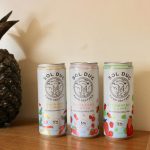 Sol Duc Alcoholic Hard Seltzers