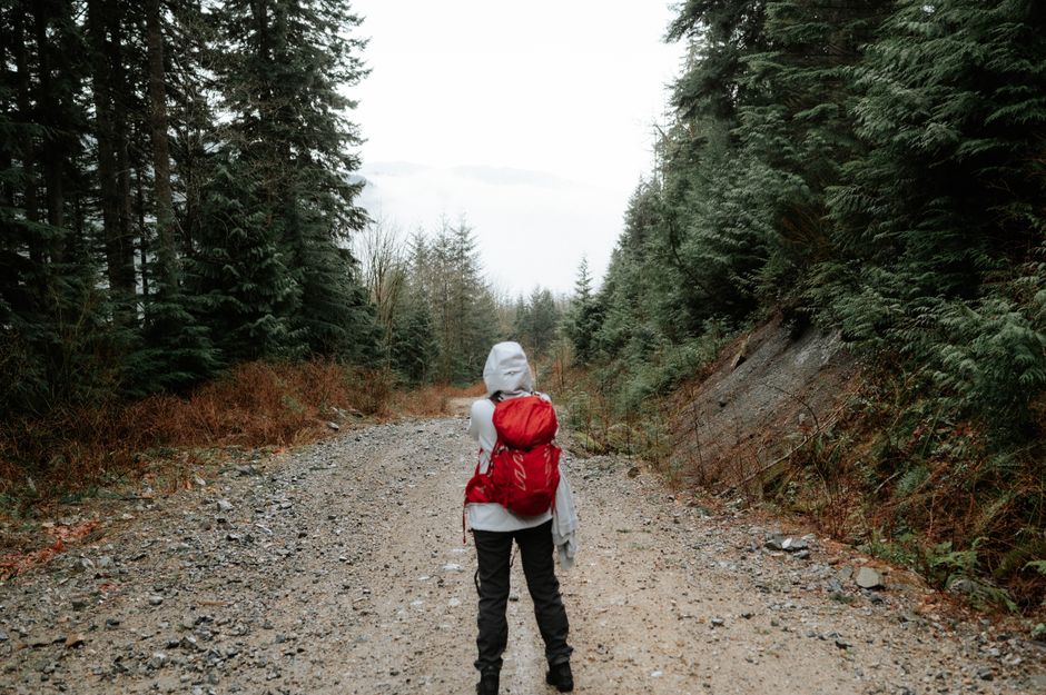 A lone hiker with a red backpack walks forest trail. Outdoor adventure.
